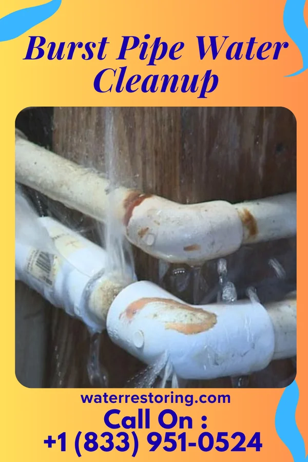 Burst Pipe Water Cleanup in Medicine Lake, MT