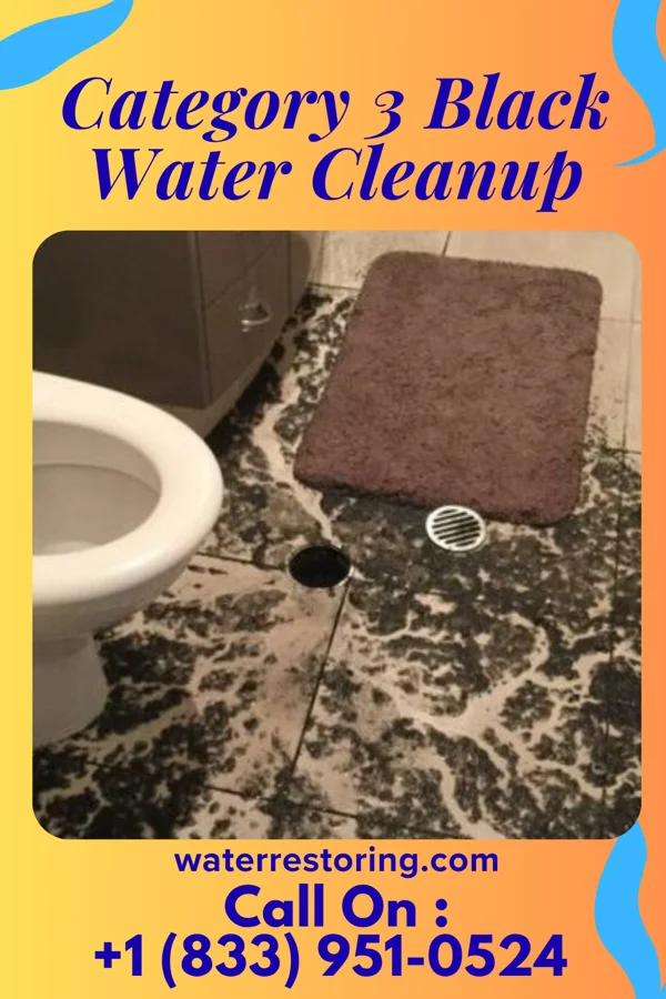 Category 3 Black Water Cleanup in Medicine Lake, MT