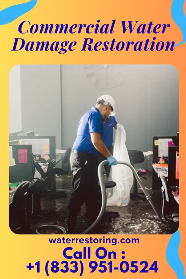 Commercial Water Damage Restoration in Medicine Lake, MT
